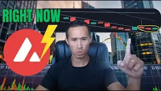 Avalanche (AVAX) Crypto Breakdown &mdash; Latest Price Action & What&rsquo;s Next