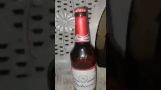 Budweiser beer love at first sight