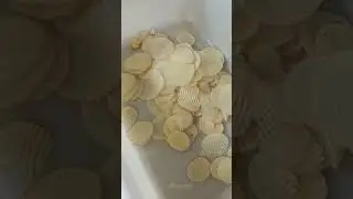 FC-312A Potato Wave Chips