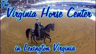 Virginia Horse Center &bull; in Lexington Virginia