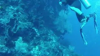 Siau Diving. Limangu Diving Center