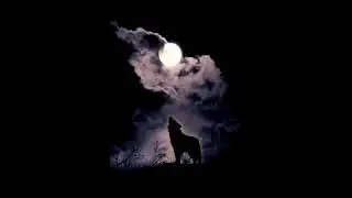 SQWOZ BAB, THE FIRST STATION &mdash; АУФ (bass + reverb + slowed) Машиная музыка
