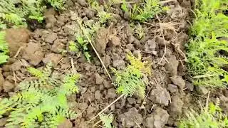 Admi ne Diya Dhokaa 🥲 Day 29 of 365 Days Daily Vlogs 🎬😉 Sorry For Late Uploading 🫡😔
