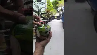#coconut #7/11 #1usd