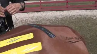 Equi-Taping a Horses' Sacroilliac