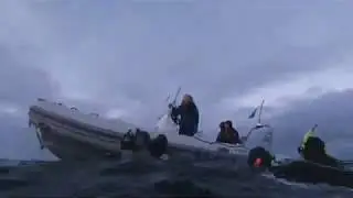 arctic freediving