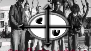 conflicto urbano - cochinas