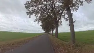 OmO · Ride 