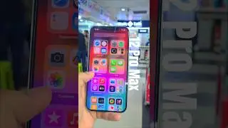 iPhone 12 Pro Max : Is it still at the top of everyone's favorites? #cameratest #bestcameraphone
