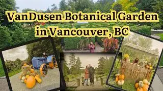 Exploring VanDusen Botanical Garden in Vancouver, BC | Nature Walk and Travel Guide!