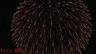 I 5 FUOCHI D'ARTIFICIO A CONCHIGLIA PIU' BELLI!!!