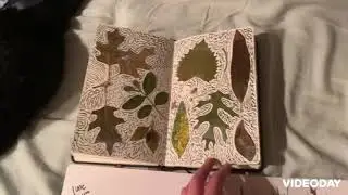 ideate creative self expression