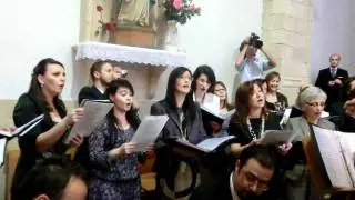ALLELUIA LODE COSMICA