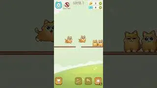 Cat Sort Puzzle - Gameplay - Cute Puzzle game with Cats! Level 1 #cat #cats #funnycats