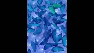 Buchete pentru cei dragi🤗🦋