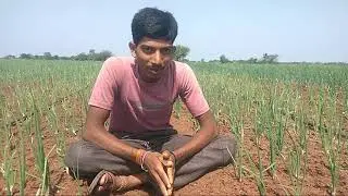 Tropical Agrosystem