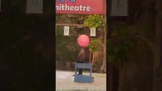 #Malaysia #ZooNegara #KualaLumpur #zoo #animalshow #birds #funny #balloon
