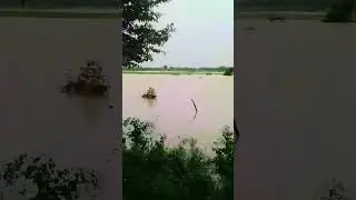 #short video