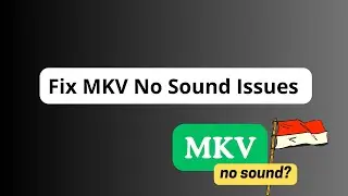 Исправление проблемы отсутствия звука в видео MKV на Windows/телевизоре/телефоне и т. д. (Краткое...