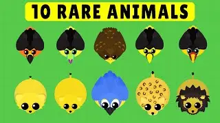 10 Rare Animals that are Most Common in Mope.io
