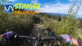 Stinger - Valemount