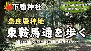 Kyoto Japan【4K】東鞍馬口通を歩く（京都芸術大学&rarr;東大路通&rarr;下鴨神社/奈良殿神地）Walk around Higashi-Kuramaguchi Street in December