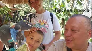 деревня слонов в Паттайе. супер шоу, но поборы за все, небольшой зоопарк. Все очень дёшево.