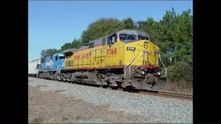 (Roblox Horn) UP C41-8W #9768 - Narrow Font K3HA