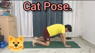 #catpose has numerous benefits that's why I use it in #sunsalutation. #balancedbody #yogateacher