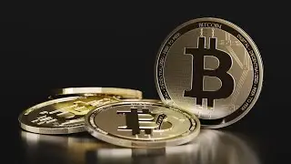 Bitcoin pulls back, here's a look at the cryptocurrency's wild ride