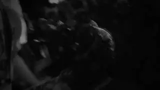 Sex Dwarf @Punx44 2016