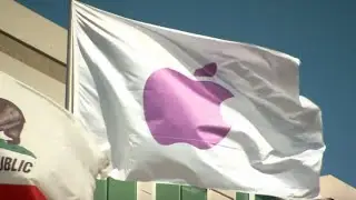 Apple Has First Earnings Decline in More Than a Decade