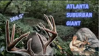 The Hunt for 