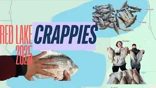 Red Lake Crappies Early 2025