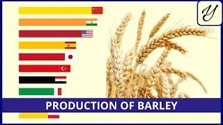 The COUNTRIES that PRODUCE the most BARLEY