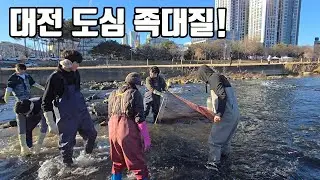 대전 도시한복판 하천엔 뭐가 살고 있을까??  (ft.이게 나온다고?? ㄷㄷ)
