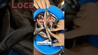 Local Fish 🎣 ||#shorts #local #fishing #healthy _fish #
