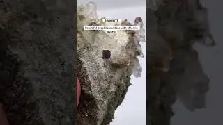 BROOKITE Beautiful brookite combine with chlorine quartz #shortvideo #brookite #quartz #shorts