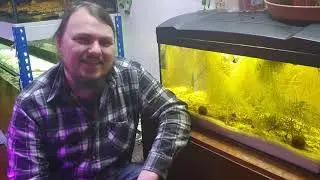 Beliebte Aquarium Pflanzen - einsetzten & Nutzen von Wasserpflanzen wie Muschelblumen & Quellmoos
