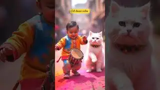 Cute kitten #cat #lovecats#cats #catvideos #kittens #catlover #princesscat #kitten