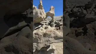 Woodpecker Rock #natureshorts #fantasycanyon #Sandstone #rockformations #uintanature #utah