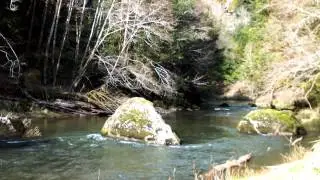 DSCF6016