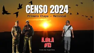 Censo NEOTROPICAL de Aves Acu&aacute;ticas 2024 - Melincu&eacute;, Santa Fe, Argentina