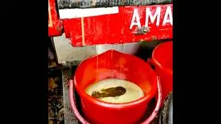 Amar Oil Expeller 27x4&frac12; Deluxe (100 kgs/hr)