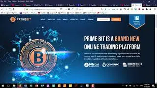 3000%  PrimeBit more insights, is it worth it
