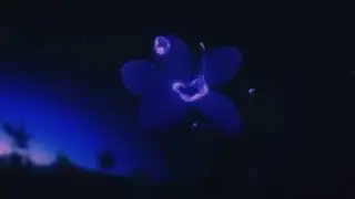 J.I. - hood scars ( slowed + reverb )