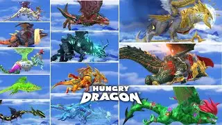 HUNGRY DRAGON - ALL DRAGON UNLOCKED (NO MOD  NO HACK) ! GEOGANTIS UPDATE