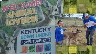Have you pet a KANGAROO?|KENTUCKY DOWN UNDER ADVENTURE ZOO | LYNNE GROSS CHANNEL