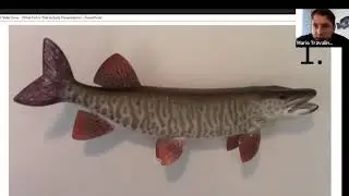 What fish is that? Part of the 2020 Children's Water Festival.
