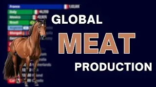 Top 15 Horse Meat Producing Countries 1961&ndash;2025 | Data Ranking